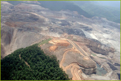 Deforestacin salvaje